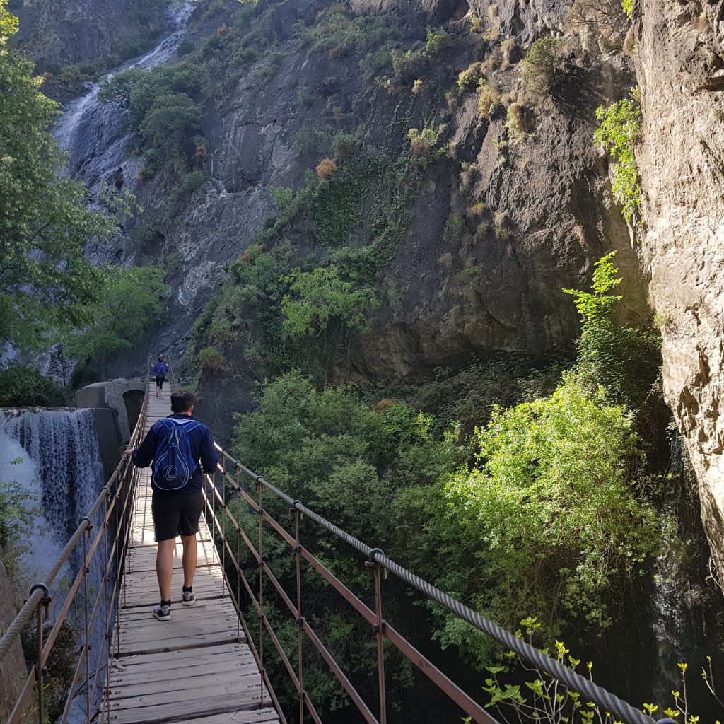 Andalusia guided tours and experiences with local experts