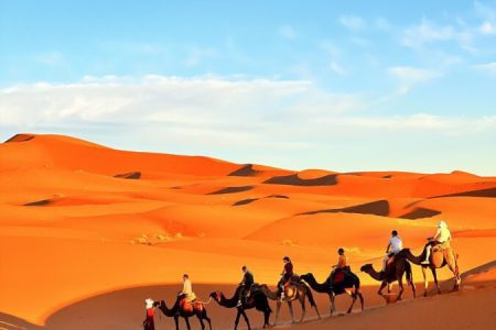 Camel ride in Erg Chebbi